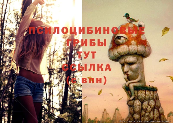 бутират Надым