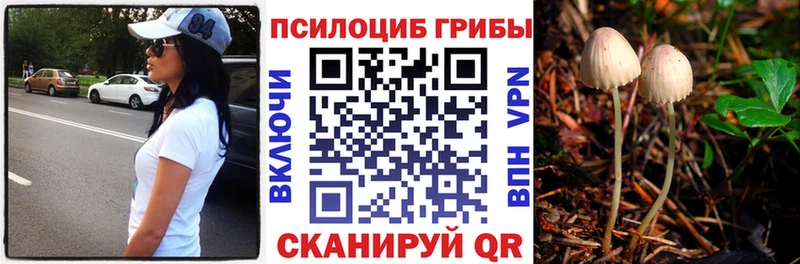 Псилоцибиновые грибы Cubensis  купить наркотики цена  Суоярви 